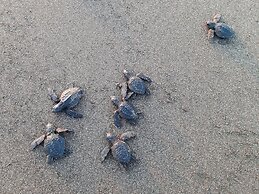 Capricho Beach House