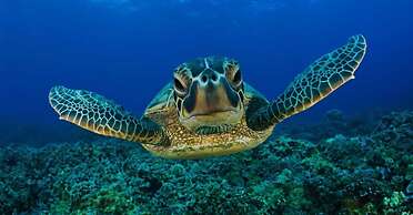 Casa Quinta da Margem