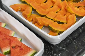 Mega Aeroporto Hotel