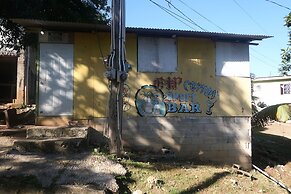 Under the Mango Tree