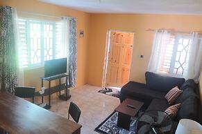 Under the Mango Tree