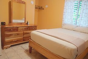 Under the Mango Tree