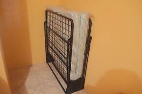 Under the Mango Tree