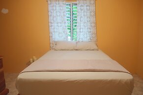 Under the Mango Tree