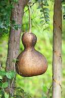 The Campers Lodge Luxury  Camp Yala