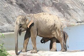 The Campers Lodge Luxury  Camp Yala