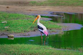 The Campers Lodge Luxury  Camp Yala