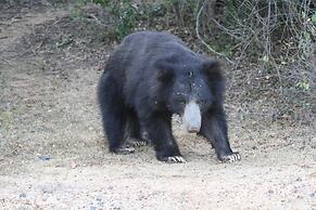 The Campers Lodge Luxury  Camp Yala