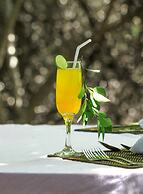 The Campers Lodge Luxury  Camp Yala