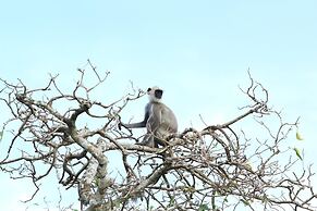 The Campers Lodge Luxury  Camp Yala