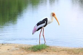 The Campers Lodge Luxury  Camp Yala