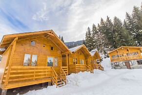 Mountain Cabins