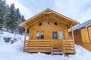 Mountain Cabins