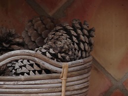 Magina Dream Pegalajar