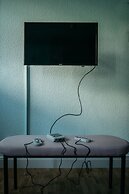 URBN Dreams - Into the Wild