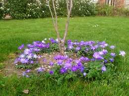 Lackford Lakes Barns