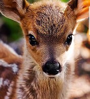 Mistica Island Hostel