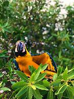 Mistica Island Hostel