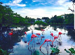 Mistica Island Hostel