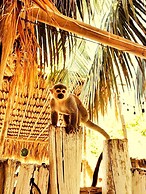 Mistica Island Hostel