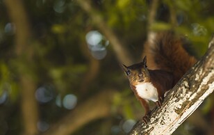 Mistica Island Hostel