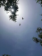 Mistica Island Hostel