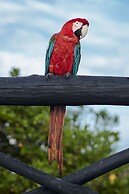 Mistica Island Hostel