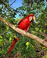 Mistica Island Hostel