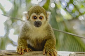 Mistica Island Hostel