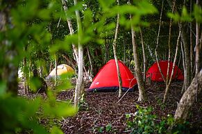 Mistica Island Hostel