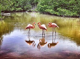 Mistica Island Hostel