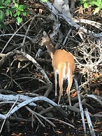 Mistica Island Hostel