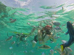 Little Mermaid Hotel Ishigakijima