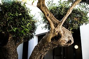 Diodorus Luxury Experience