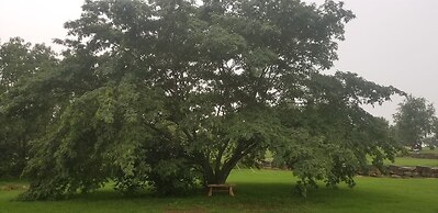 Fairway Inn