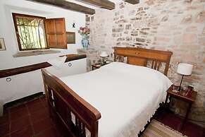 Celler Colltor