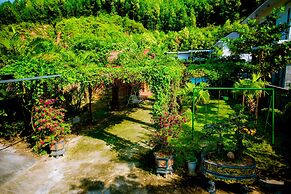 Phong Nha Hillside View Bungalow