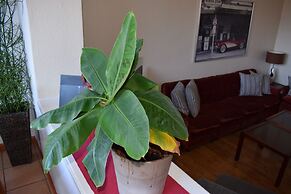 Messewohnung Augusta