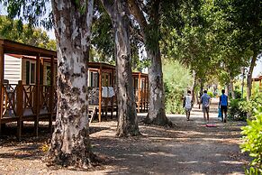 New Camping Le Tamerici