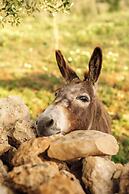 Hotel Amagatay Menorca