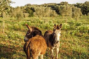 Hotel Amagatay Menorca