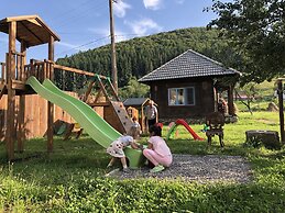 Gospodaria Lui Nea Ion