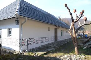 Gospodaria Lui Nea Ion