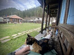 Gospodaria Lui Nea Ion