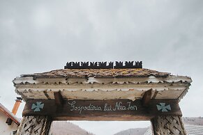 Gospodaria Lui Nea Ion