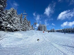 Kopaonik Exit Apartments