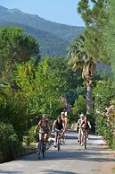 Cybeles Vacances Camping Les Albères