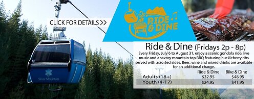 Cozy Stone Mountain Villa