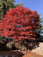 Orchid House near Vancouver YVR Airport