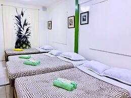 Lanzones Cabana